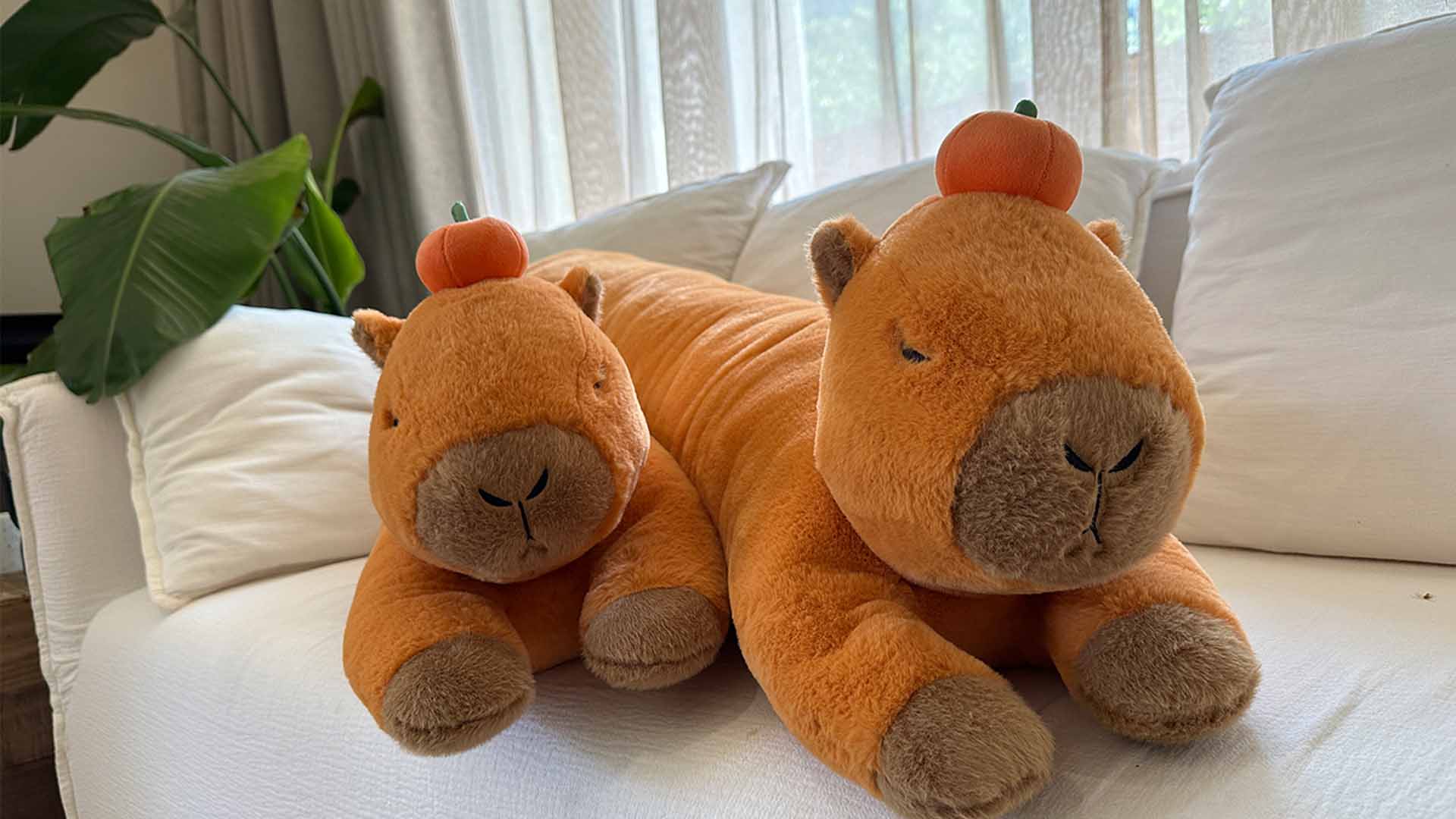 Capybara Plush Body Pillow with Persimmon