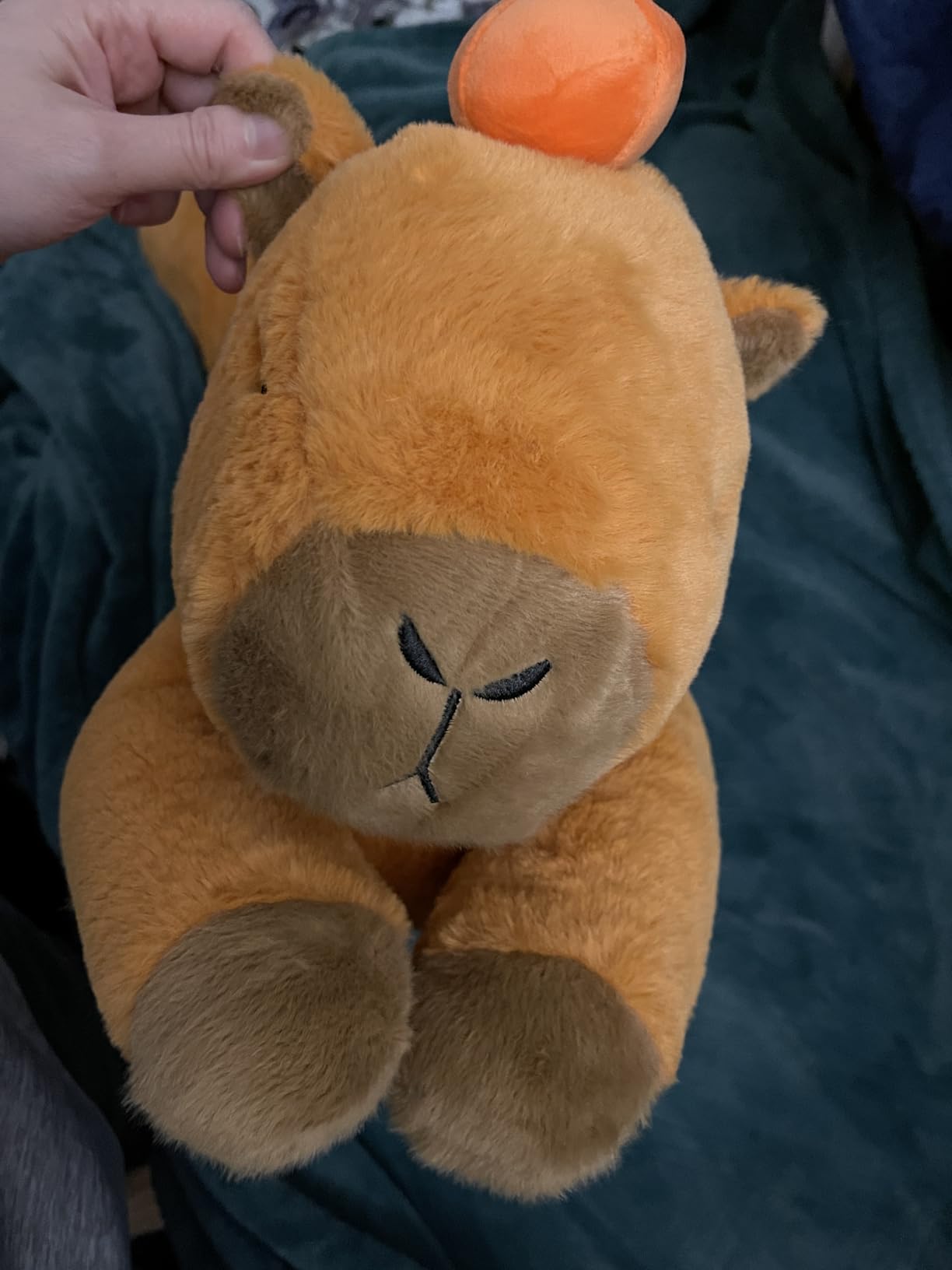 Capybara Plush Body Pillow with Persimmon